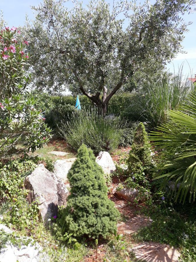 Ana Marija Apartments Porec Exterior photo